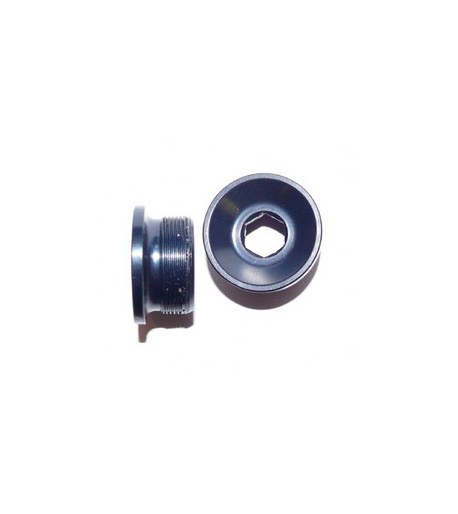 Rotor 3D+ alloy drive side bolt
